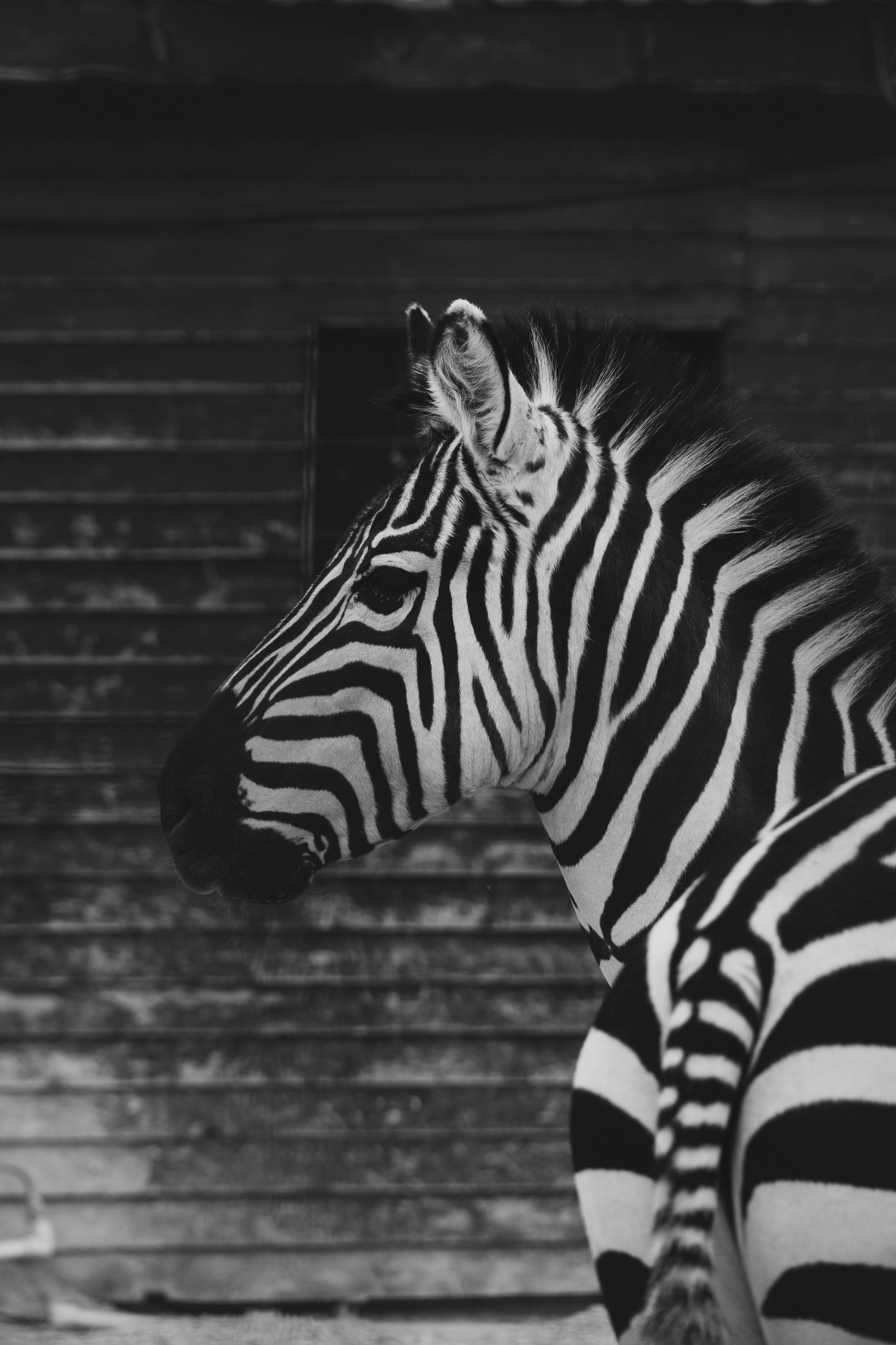 Marka büyütme stratejisi görseli